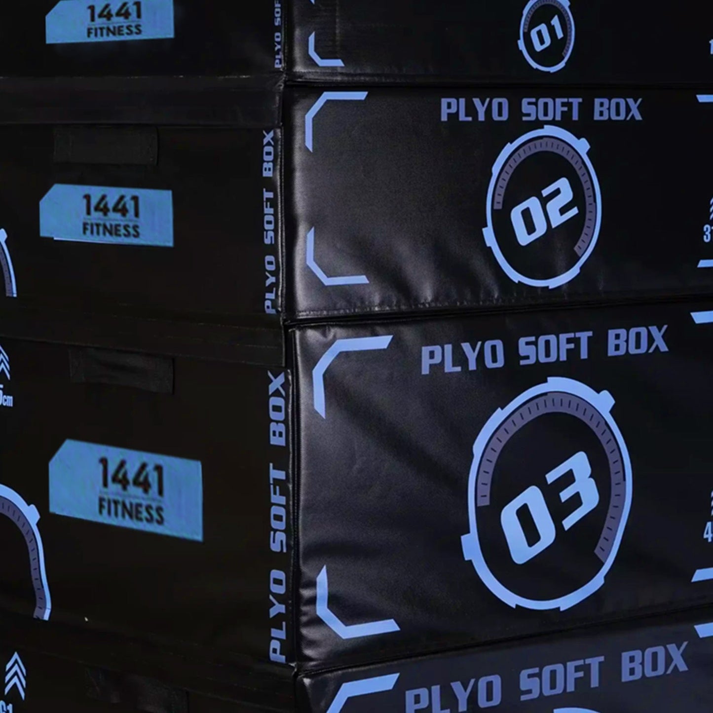 1441 Fitness 4 in 1 Adjustable Plyo Box