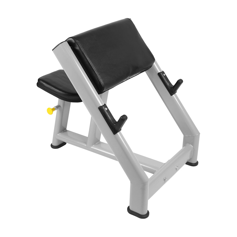 Preacher Curl