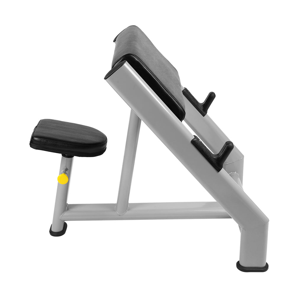 Preacher Curl in UAE