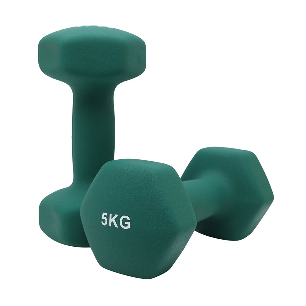 1441 Fitness Neoprene Hex Dumbbells 1 to 10 KG (Sold as Pair) 