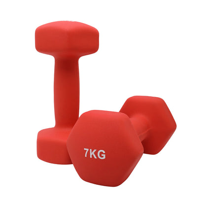1441 Fitness Neoprene Hex Dumbbells 1 to 10 KG (Sold as Pair) 