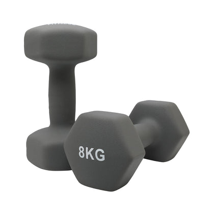 1441 Fitness Neoprene Hex Dumbbells 1 to 10 KG (Sold as Pair) 