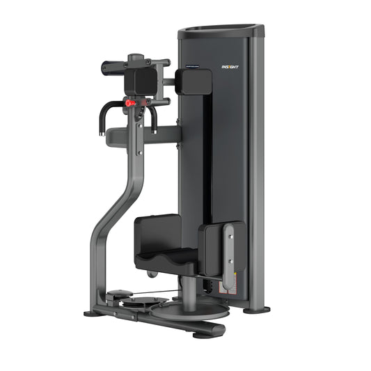 Insight Fitness Rotary Torso - SAO10E